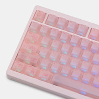 KEEBMONKEY x PMO P75 Transparent 75% Mechanical Keyboard with Knob