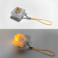 Keebmonkey Interesting Keychain