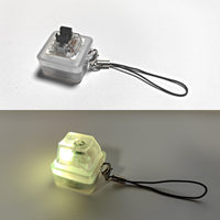 Keebmonkey Interesting Keychain