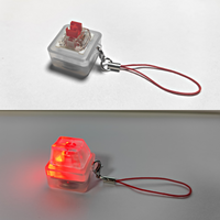 Keebmonkey Interesting Keychain