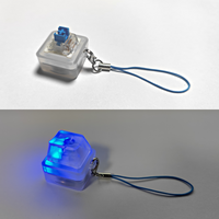 Keebmonkey Interesting Keychain