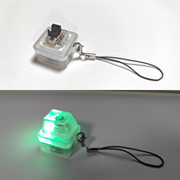 Keebmonkey Interesting Keychain