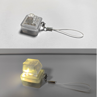 Keebmonkey Interesting Keychain