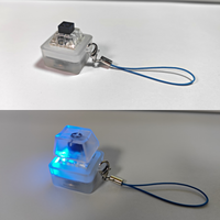 Keebmonkey Interesting Keychain