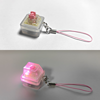 Keebmonkey Interesting Keychain